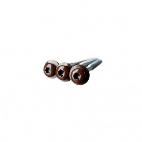 Kruvi 6x100 (100), pruun