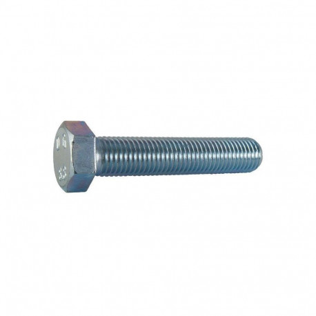 SCREW DIN933 8.8 M14X60 (100)