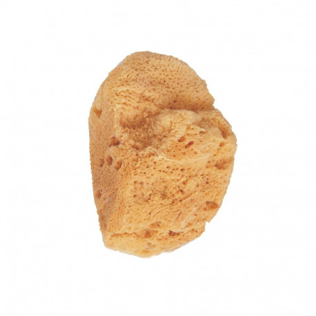 BETER ESPONJA de baño natural marina 1 pz