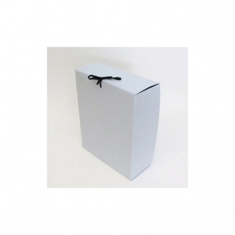 Arhiivikarp paeltega 350x280x120mm pinnalaotus, arhiivipüsiv (AKSP)