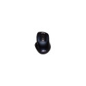 Asus | MW202 | Wireless | 2.4GHz Wireless Optical Mouse | Blue