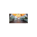 Coleman Cortes Octagon 8 Grey, Orange