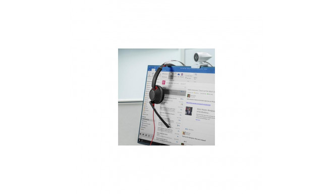 HP Poly Blackwire 5220 Stereo USB-C Headset +3.5mm Plug +USB-C/A Adapter