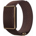Polar Loop S-L, pruun