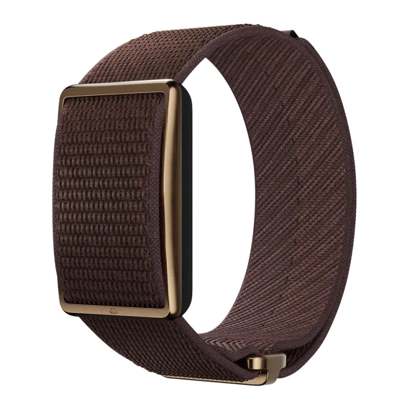Polar Loop S-L, pruun