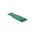 "Delock Adapter mSATA > M.2 Key B Slot"