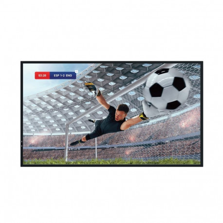 Monitor 55DM66D 55 inches 4K UHD IPS DS Display 24/7