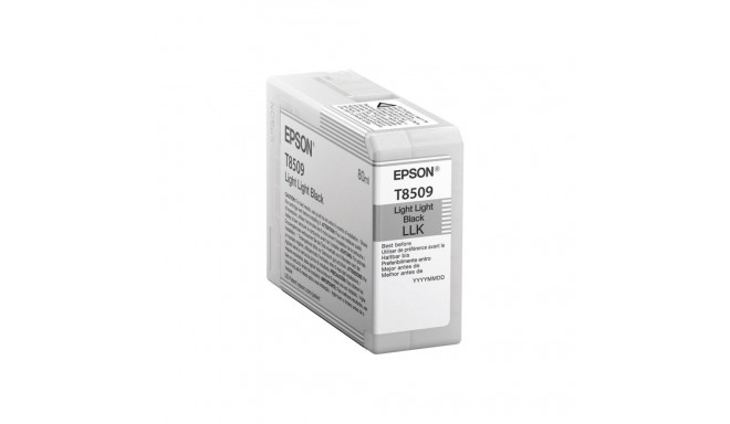 Epson T850900 | Ink Cartridge | Light Black