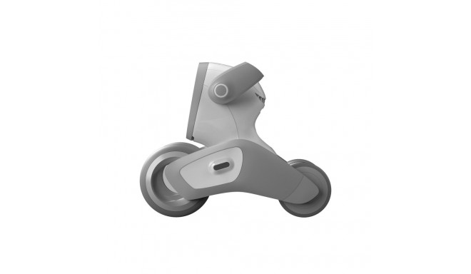 Loona Premium Interactive Robot