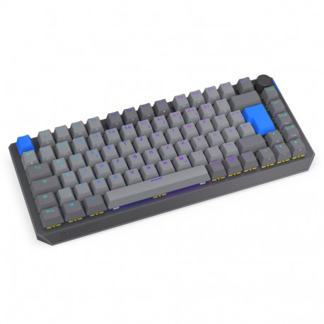 Thock V2 75% Wireless (grau, DE-Layout, ENDORFY Yellow by Gateron)