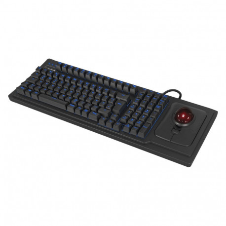 Keysonic KSK-8202ELU-T (black, DE layout)