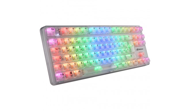 Crystal Shark KTT DE-paigutus, valge