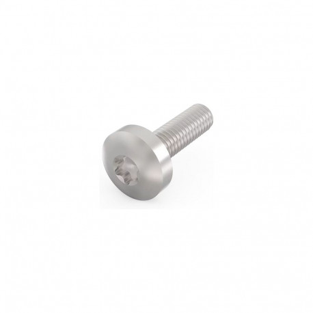 "SCHROFF Torx-Linsenkopfschraube - NTS TORXSCHR M4X14 (10STK)"