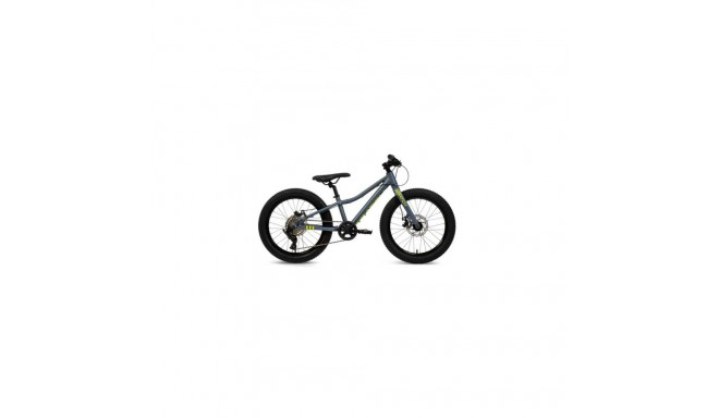Batch Bicycles 20" MTB CHAMELEON