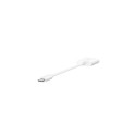 Belkin NPA004BTWH interface hub USB Type-C White