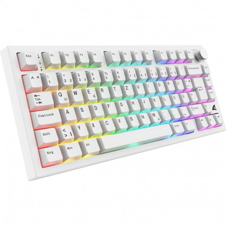 SKILLER SGK55W (weiß, DE-Layout, Sharkoon Linear)