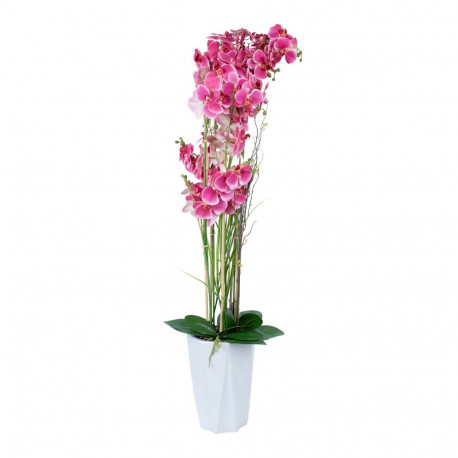 Orchid GARDEN QUEEN H132cm, pink