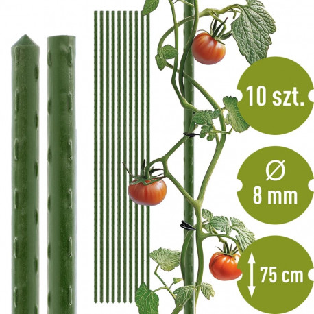 Bioogród Dārza Stabi - Tērauds, 0.75 m, Ø8 mm, 10 gab BIOOGROD 720440