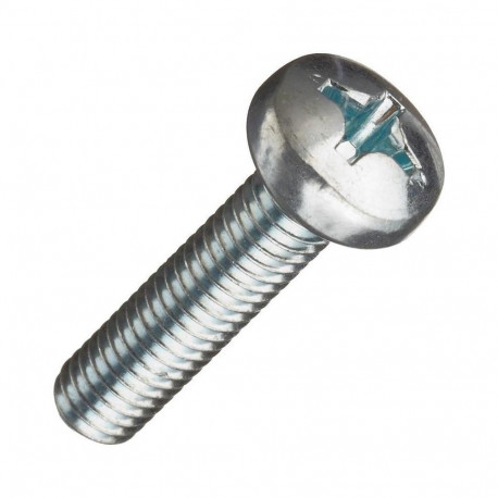 Kruvid DIN7985 M6X100 ZN (100)