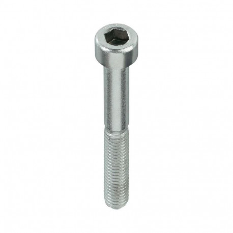 Poldid DIN912 M8X25 ZN (200)