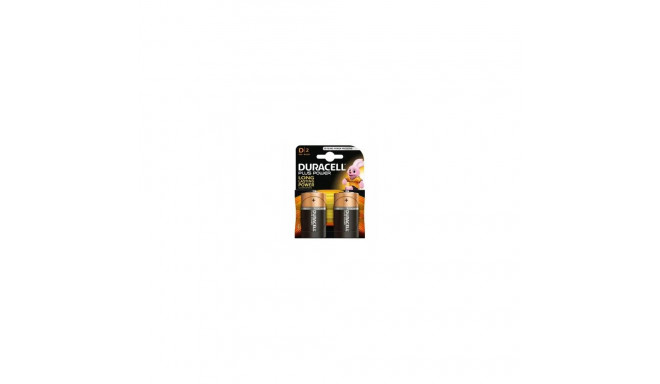 Duracell MN 1300 Basic D (LR20) blister pack 2pcs