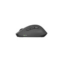 Mouse Kite wireless silent