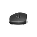 Mouse Kite wireless silent