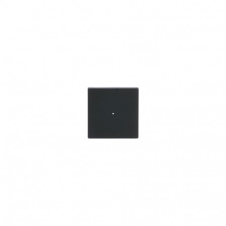 "BUSCH JAEGER BJ 6230-10-885 Wippe 1f schwarz matt Busch-free@home future linear"