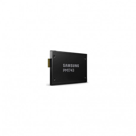 SSD|SAMSUNG|PM1743|3840 GB|PCI Express 5.0|NVMe Yes|2.5"|MZWLO3T8HCLS-00A07