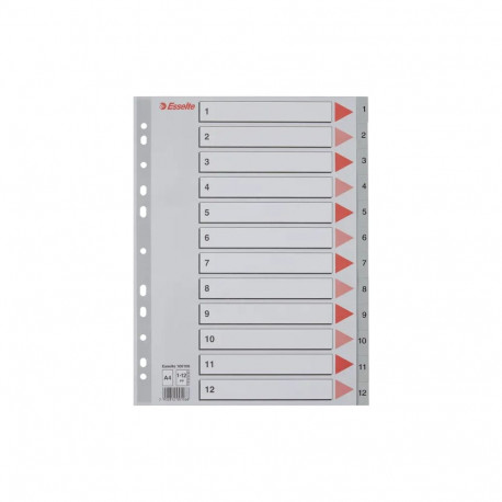Indices Esselte PP A4 1-12 Grey