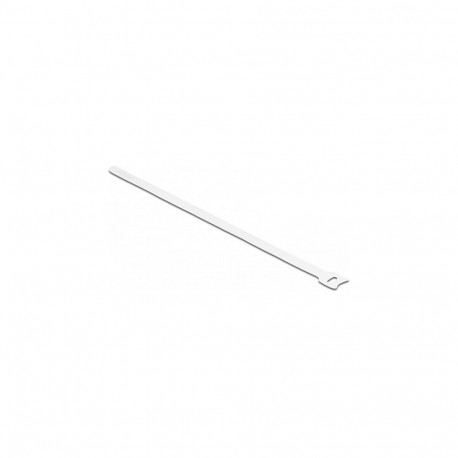 "Delock Klett-Kabelbinder L 300 x B 12 mm weiß 10 Stück"