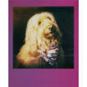 Polaroid Go Gradient Frame 2-pack