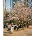 Candido film Colour 200/36