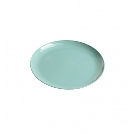 SHALLOW BIG PLASTIC PLATE. GREEN