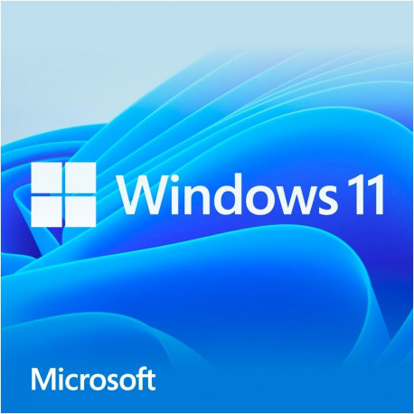 Windows 11 Home (64-Bit, Französisch, DVD-ROM)
