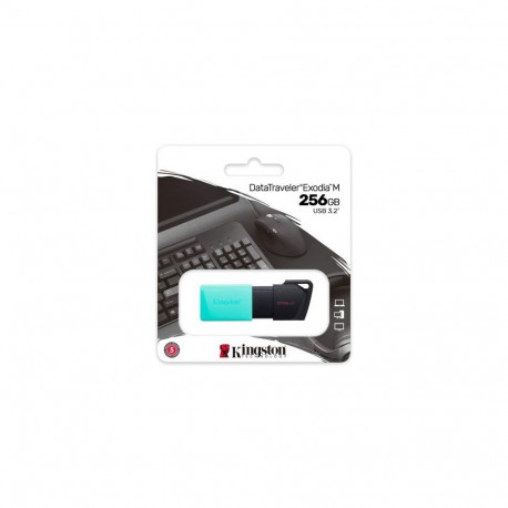 Kingston Pendrive 256GB DataTraveler Exodia M USB 3.2 Black/ Teal EU (DTX/256GB)