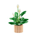 CONSTR LEGO BOTANICALS 11504