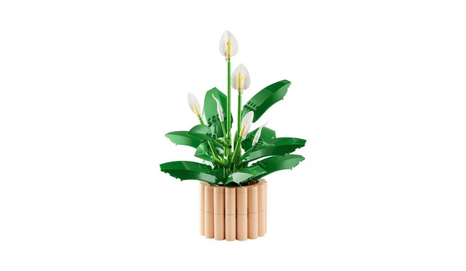 CONSTR LEGO BOTANICALS 11504