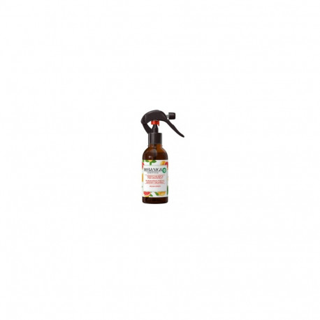 AIR WICK Õhuvärskendaja  Botanica Spray Mint & Grapefruit 236 ML
