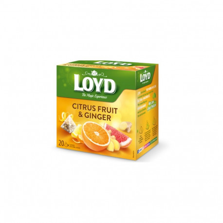 Tee LOYD ingveri- ja tsitrusemaitseline 20 x 2g