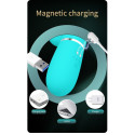Paul vibraator 7 vibratsioonirežiimi 7 pulssrežiimi 4 noogutusfunktsiooni