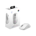 MSI VERSA 300 WIRELESS WHITE | Wireless | 2.4 GHz, Bluetooth, USB 2.0