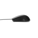 MOUSE USB OPTICAL/BLACK MUS-4B-01 GEMBIRD