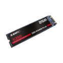 "M.2 256GB EMTEC SSD Power Plus X250"