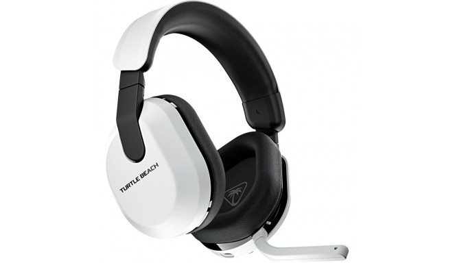 SW-550/800 Boden 2 tk, must