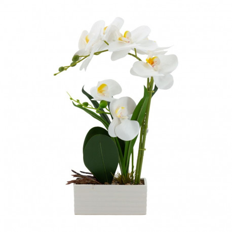 Orchid GREENLAND H41cm white pot, white flower