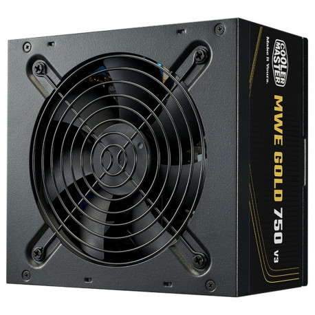 "750W Cooler Master MWE Gold V3 750W ATX 3.1"