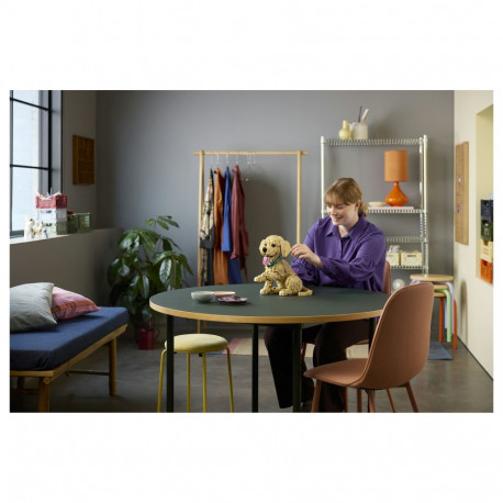 Icons Golden Retriever kutsikas 11384