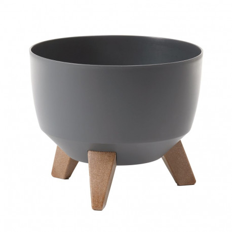 Lillepott-kauss Roma 797-82 240