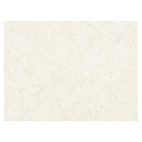 B119 1301-06 ELEGANCE I tapeet